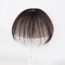 画像2: カツラ (2)