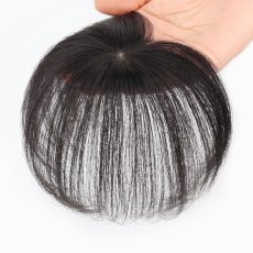 画像1: カツラ (1)