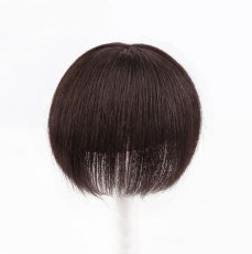 画像2: カツラ (2)