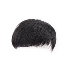 画像1: カツラ (1)