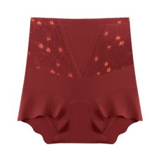 画像4: 女性ショーツ (4)