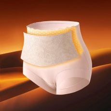 画像3: 女性ショーツ (3)