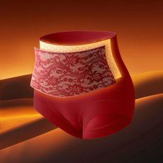 画像5: 女性ショーツ (5)