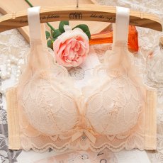 画像4: 単品ブラジャー (4)