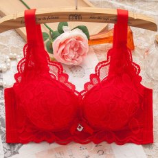 画像8: 単品ブラジャー (8)