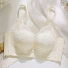 画像3: 単品ブラジャー (3)