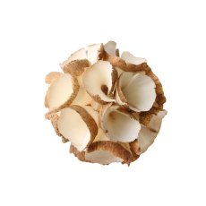 画像2: ペット用品 (2)