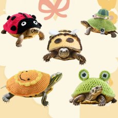 画像1: ペット用品 (1)