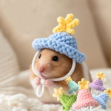 画像1: ペット用品 (1)