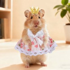 画像1: ペット用品 (1)