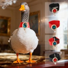 画像1: ペット用品 (1)