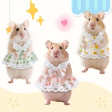 画像1: ペット用品 (1)