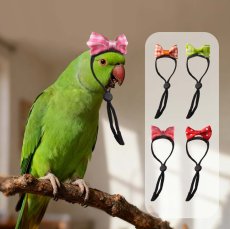 画像1: ペット用品 (1)