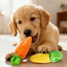 画像1: ペット用品 (1)