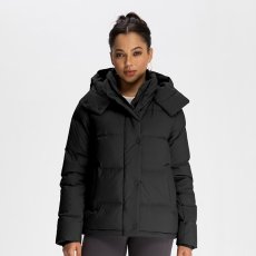 画像4: 4色ヨガウエア  (4)