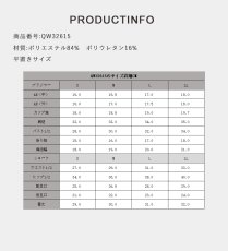 画像10: 特殊素材のビキニセット (10)