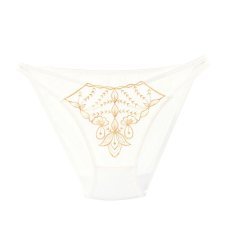画像2: 5色女性ショーツ (2)
