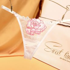 画像2: 7色女性ショーツ (2)