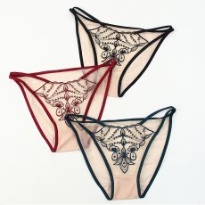 画像1: 5色女性ショーツ (1)